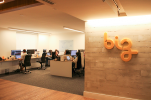 BIZ PMEs fintechs