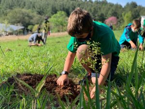 Viação Ouro e Prata Eccaplan - Consultoria em Sustentabilidade