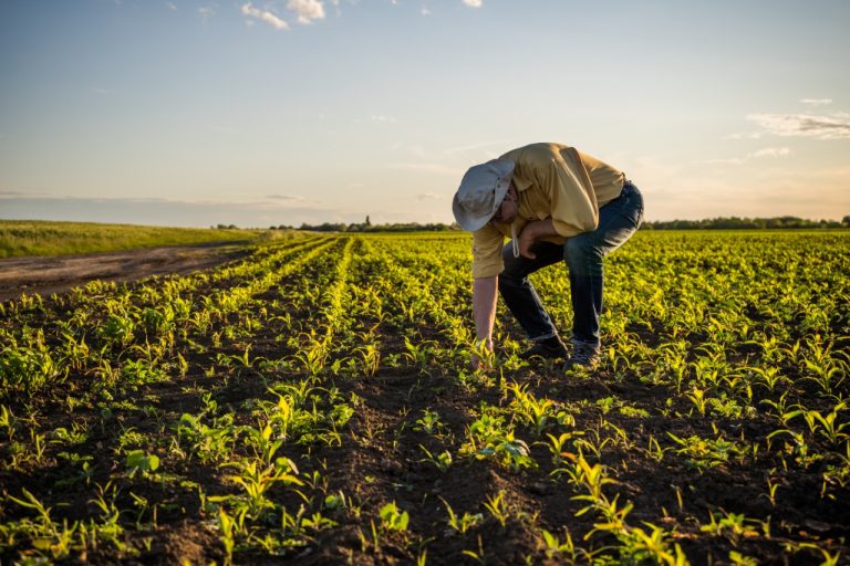 empreendedor agro